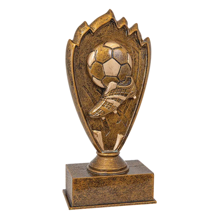 Soccer Blaze Award