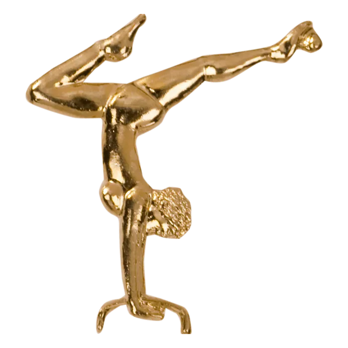 Gymnastics Chenille Pin