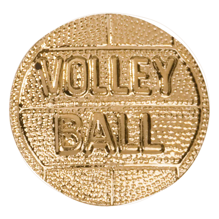 Volleyball Chenille Pin