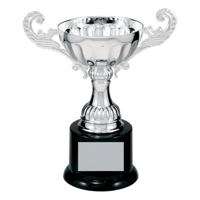 Silver Metal Cup-6 1/2"