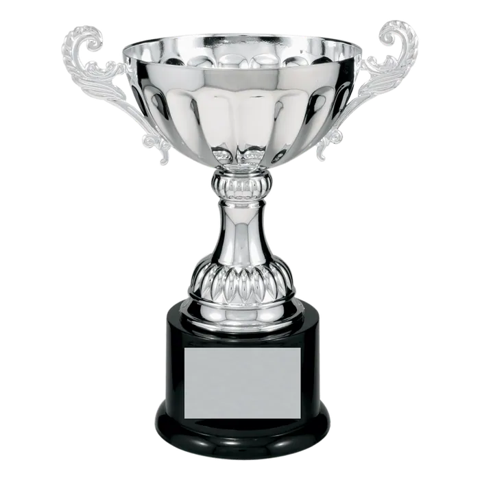 Silver Metal Cup-8 1/2"