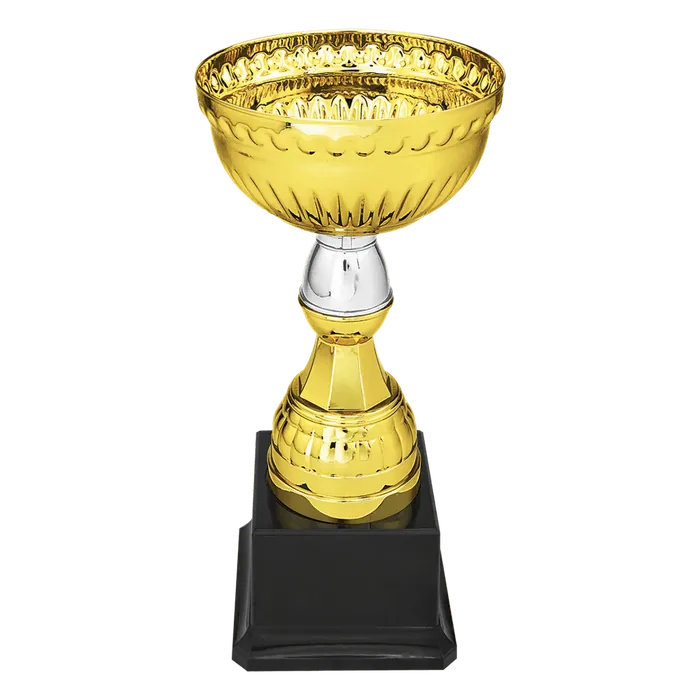 Gold/Silver Metal Cup-8"