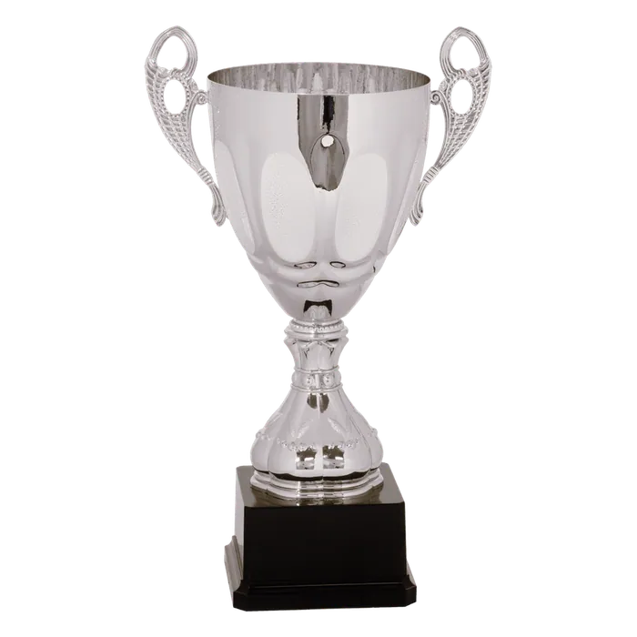 Silver Metal Cup-14"