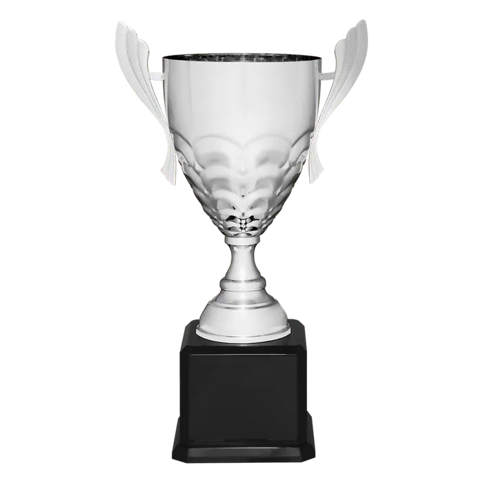 Silver Metal Cup-21"