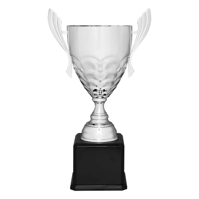 Silver Metal Cup-25 1/4"
