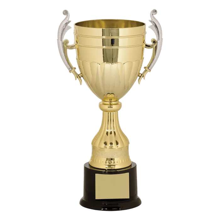 Gold Plastic Cup-13"
