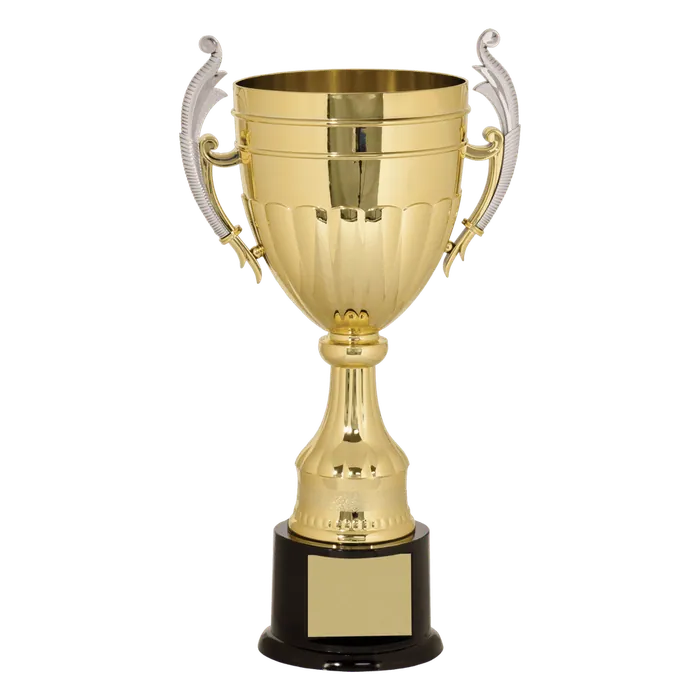 Gold Plastic Cup-16 3/4"