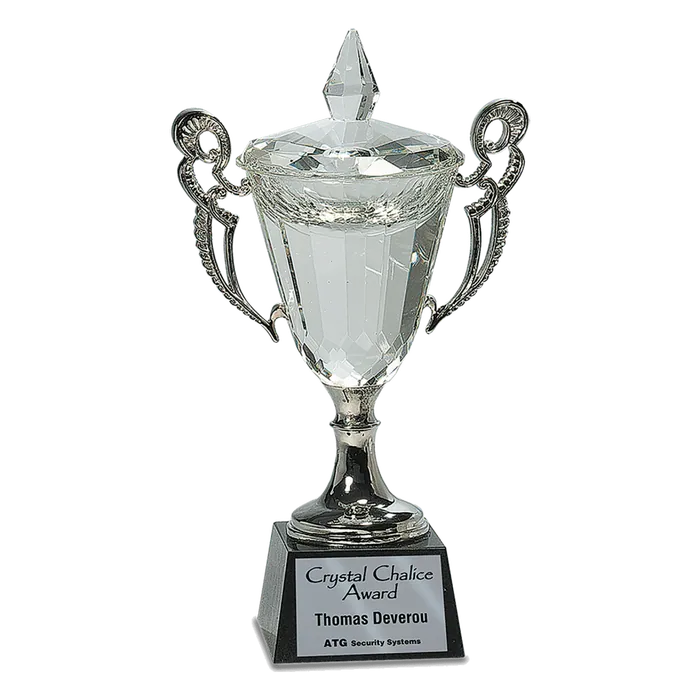Crystal Cup with Silver Handles and Stem, 11 1/4"