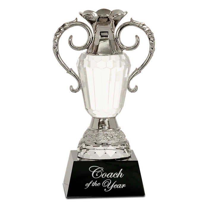 Crystal Cup with Silver Metal Handles, 8"