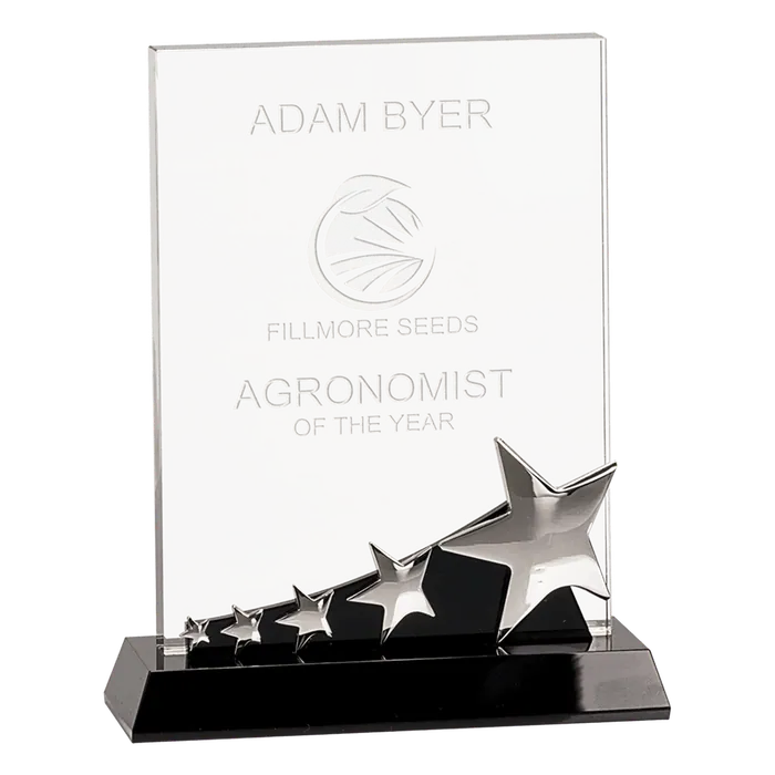 Large Rectangle Crystal with Silver Stars on Black Pedestal Base
