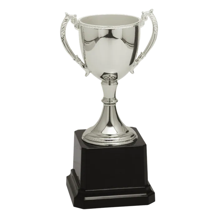 Silver Zinc Cup-6 3/4"