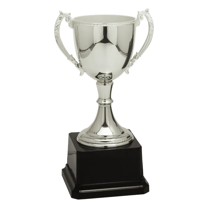 Silver Zinc Cup-8 3/4"