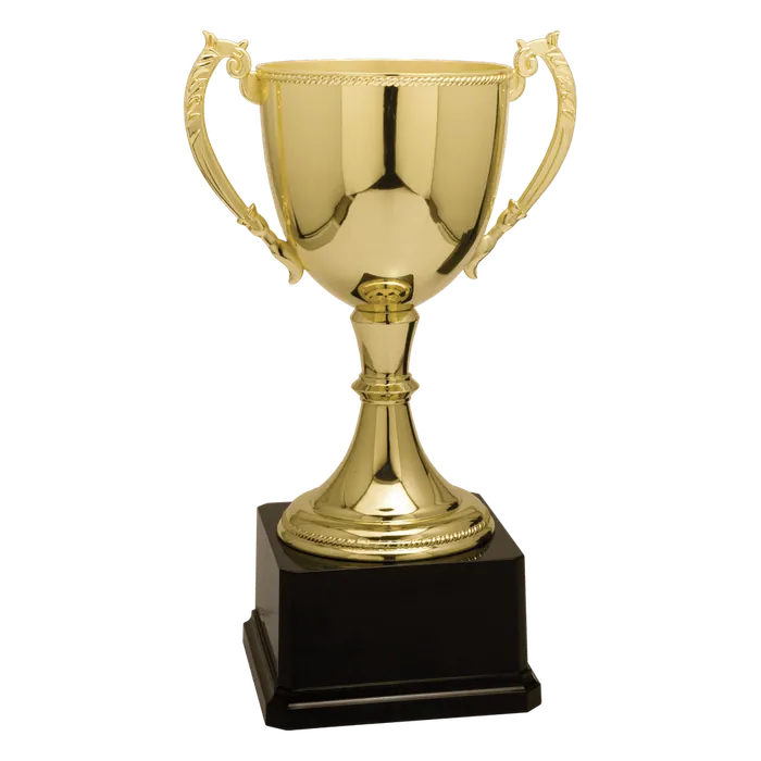 Gold Zinc Cup-11"