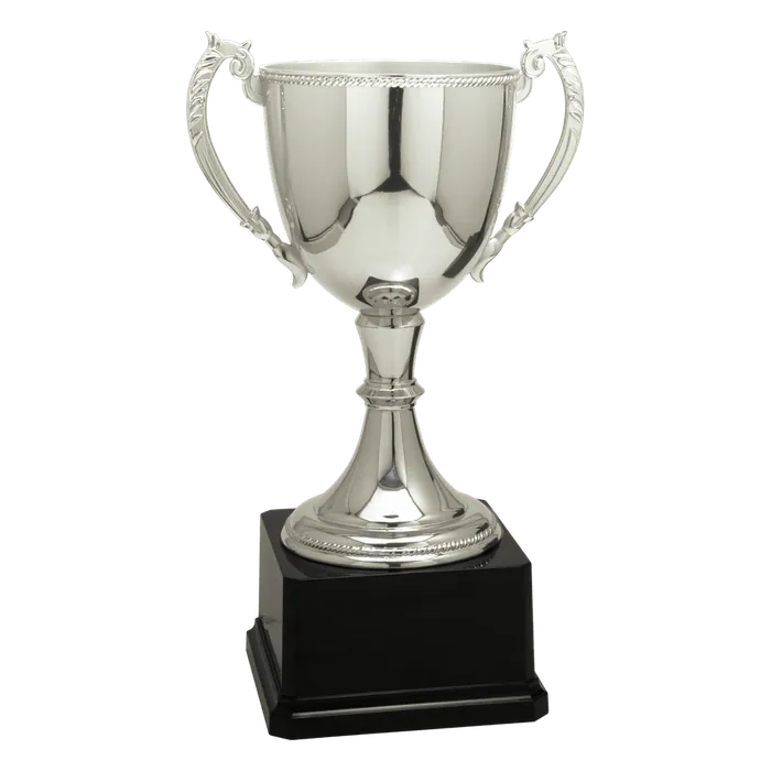 Silver Zinc Cup-11"