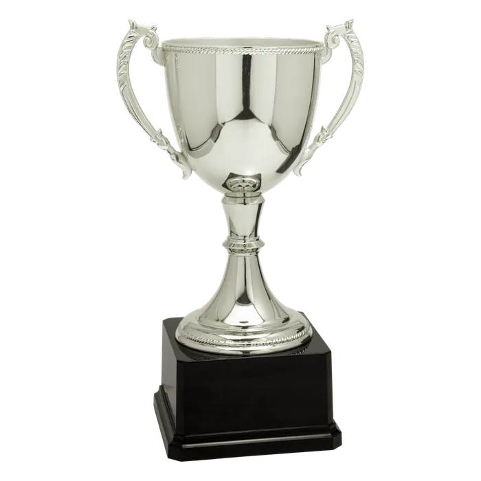 Silver Zinc Cup-12 3/4"