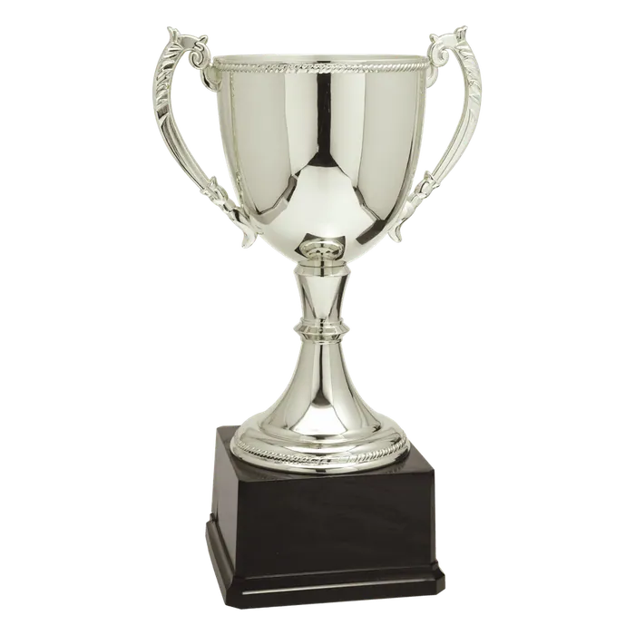Silver Zinc Cup-16 3/4"