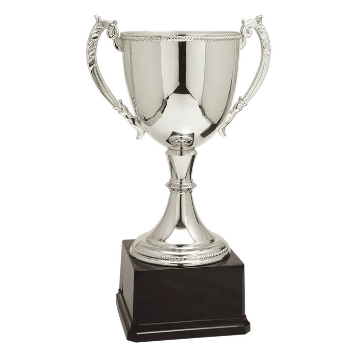 Silver Zinc Cup-18 1/4"