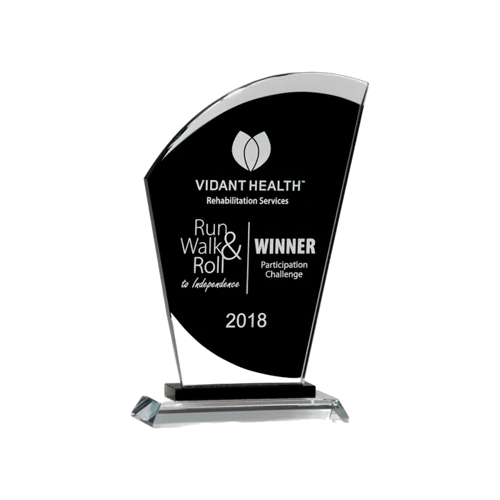Black Silk Screened Sail Clear Glass Award, 6" x 9 1/2"