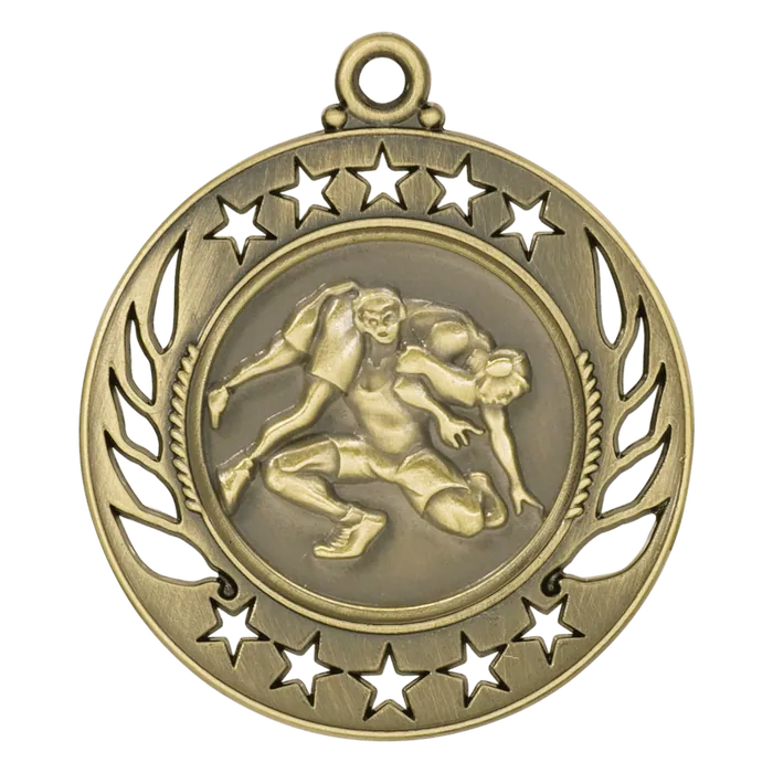 Wrestling Galaxy Medal-Gold