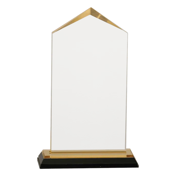 Large Gold Jewel Impress Acrylic