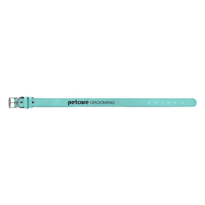 Teal Leatherette Dog Collar, Style LLC549