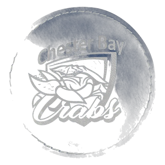 Blue/Silver Laserable Leatherette Round Patch with Kota Pro Adhesive, Style PTH459