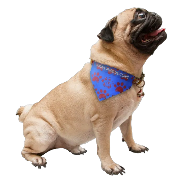 Pet Scarf, 5 3/4" x 4 1/4"