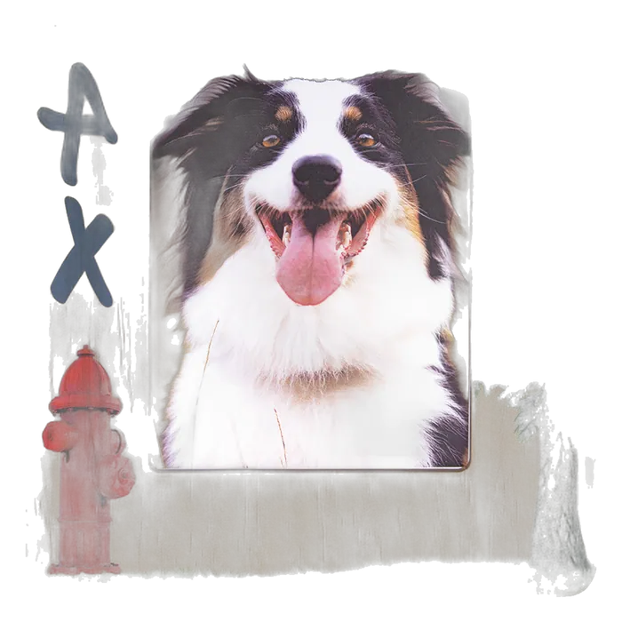 Full Color Wood Photo Frame, 9" x 11" holds 5 x 7 photo