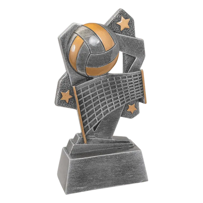 Volleyball Triumph Resin-6 1/2"