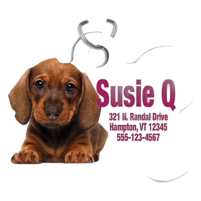 1-Sided Gloss Aluminum Pet Tag-Dog Bone