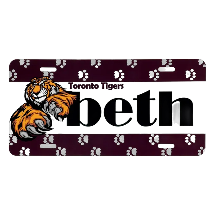 Aluminum License Plate